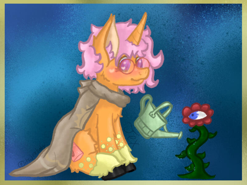 Com for Sunset In The Sea on amino