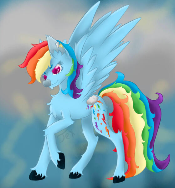 My Little Pony Rainbowdash